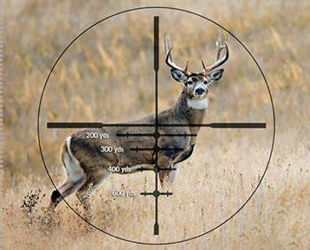 August 23rd & 24th, 2025 - Long Range Hunter Development Course